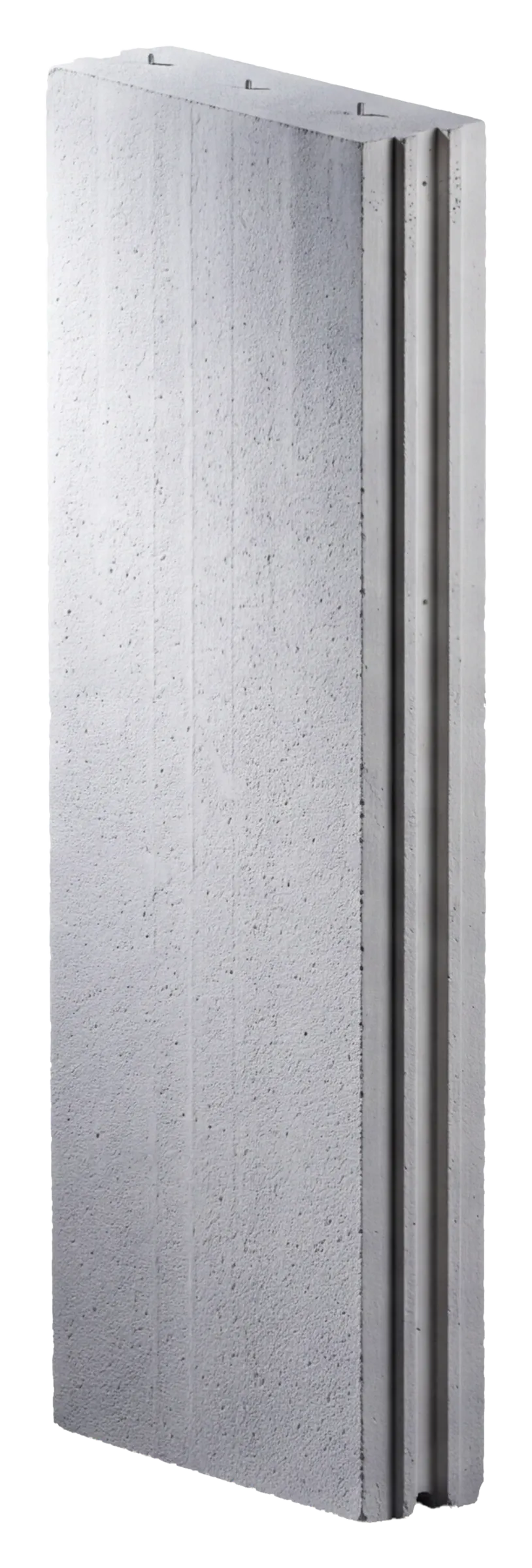 A single reinforced AAC wall panel